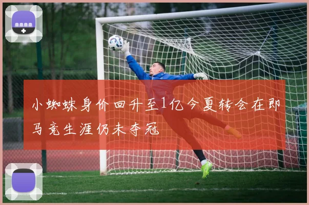 小蜘蛛身价回升至1亿今夏转会在即马竞生涯仍未夺冠
