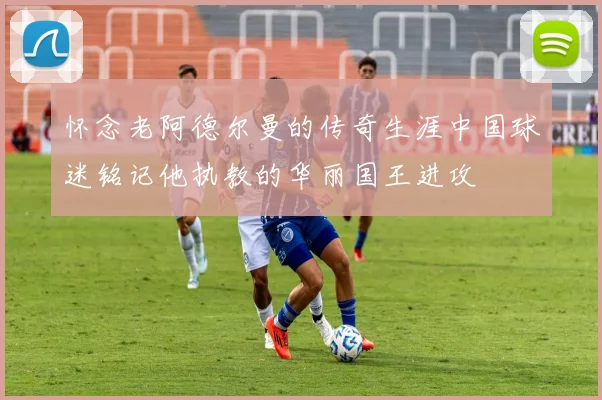 怀念老阿德尔曼的传奇生涯中国球迷铭记他执教的华丽国王进攻